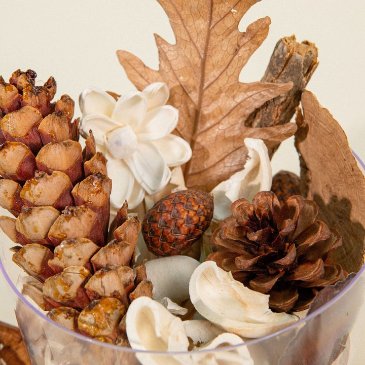 Fall Garden Potpourri